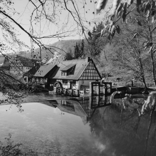 Tableau Moulin En Automne